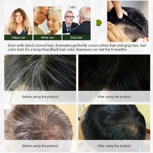 shampoo disaar negro 6