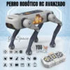 PERRO ROBOT (10)