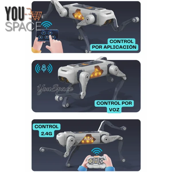 PERRO ROBOT (4)